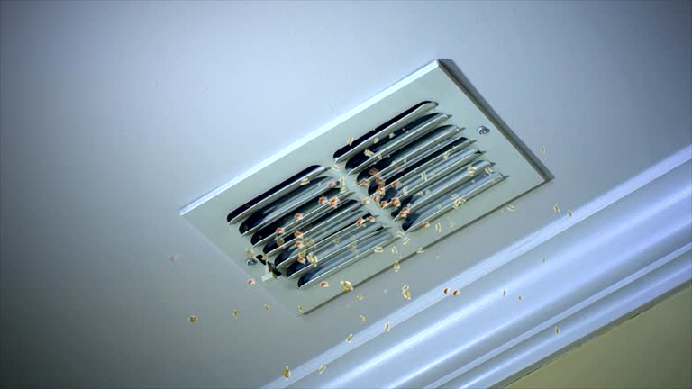 Best Affordable Duct Cleaning Services  in Mount Vista, WA